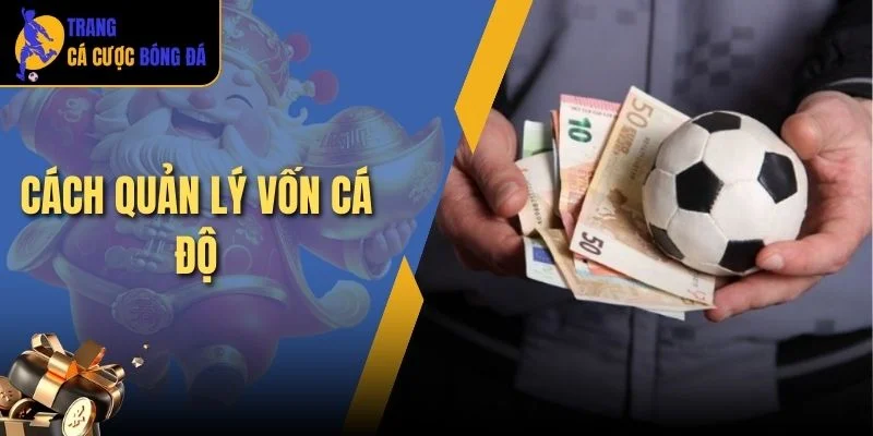 Cách quản lý vốn cá độ