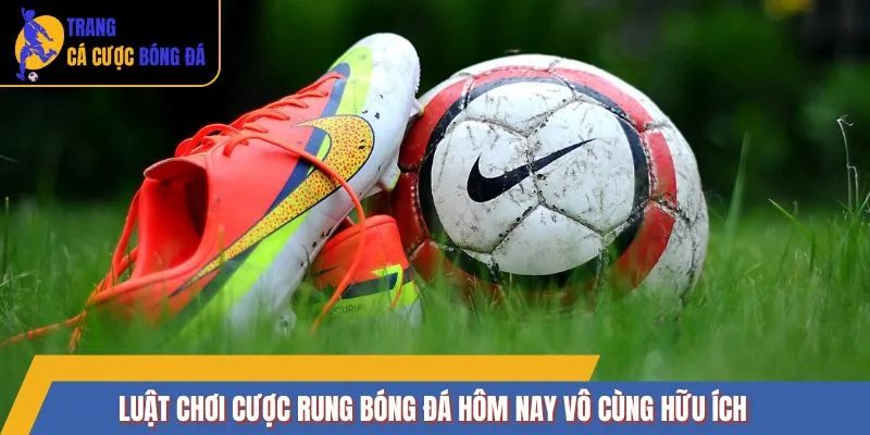Luật chơi cược rung bóng đá hôm nay vô cùng hữu ích